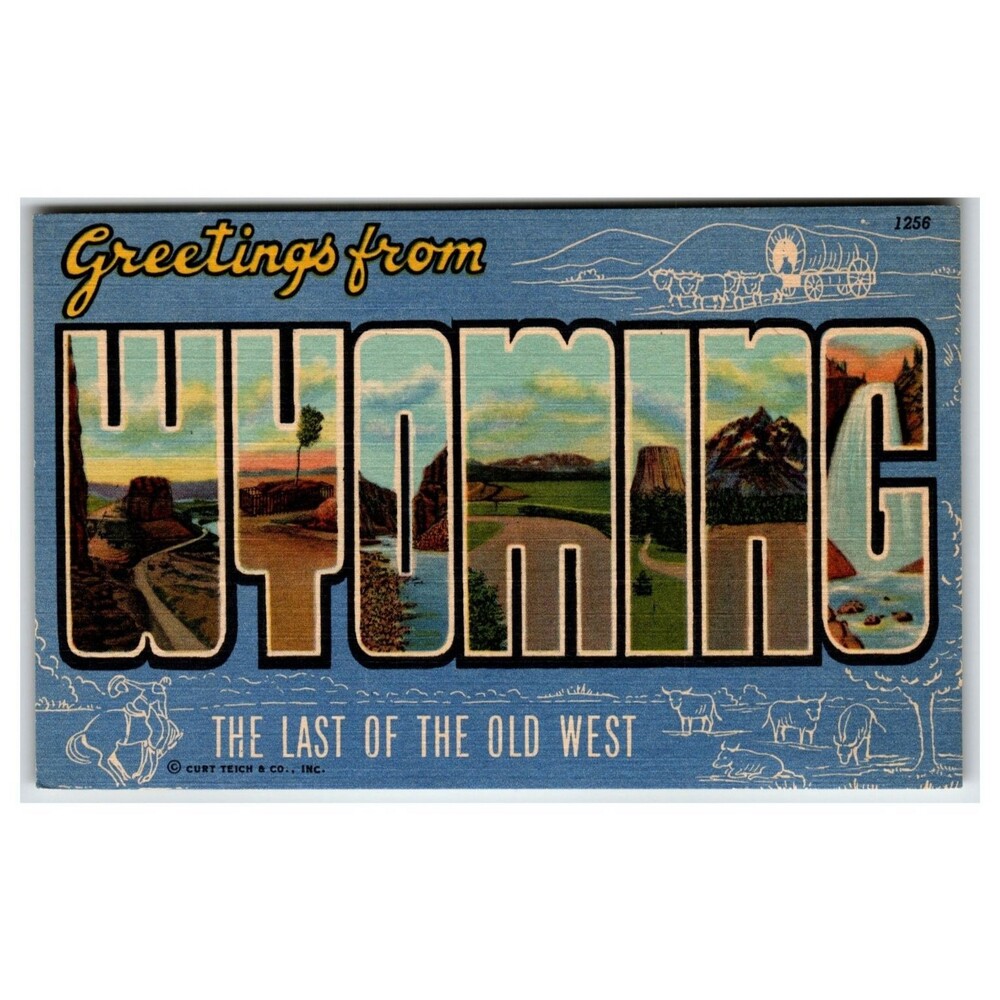 Greetings from Wyoming Large Letter Linen Postcard Curt Teich Old West Cowboy
